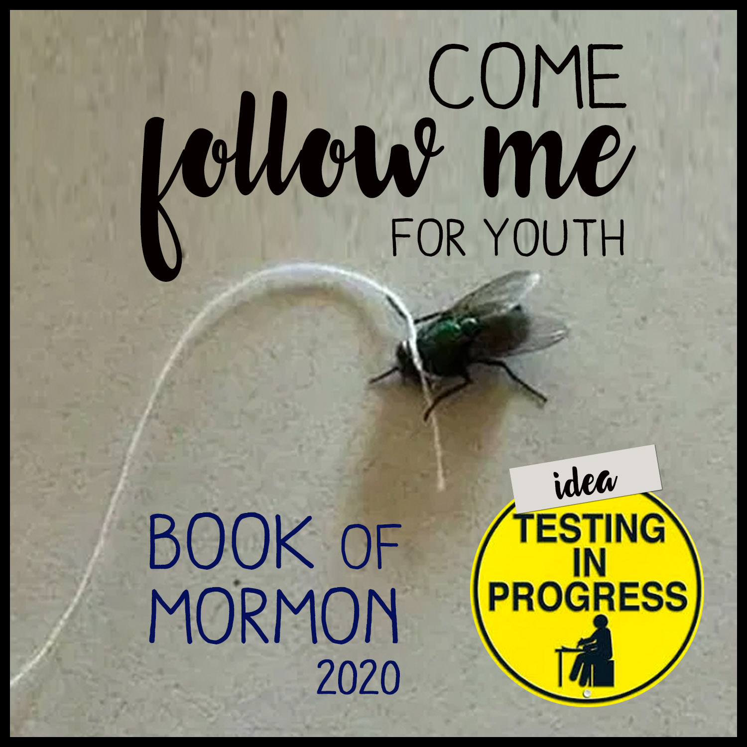 Book of Mormon for YOUth