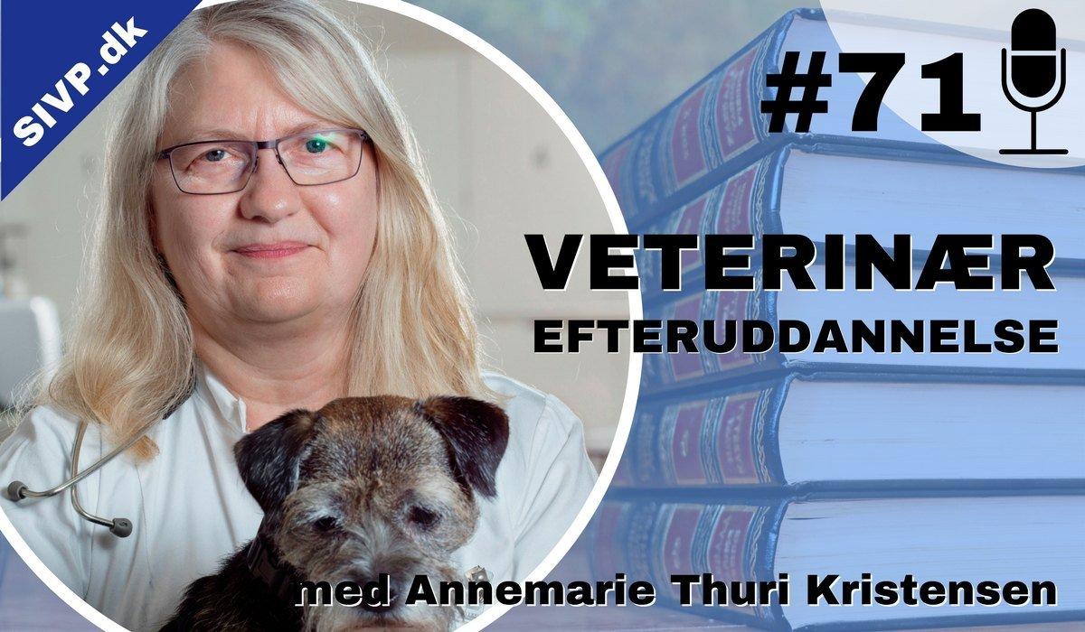 Succes I Veterinær Praksis Podcast - Sammen om at blive bedre