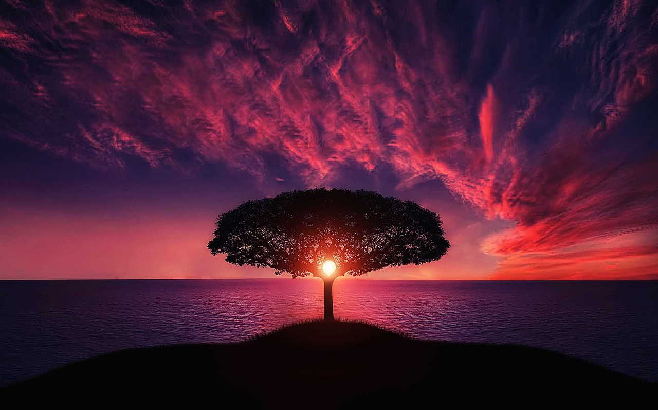 Guided Mindfulness Meditation for a Powerful Mind - Strength and Healing Energy (10 minutes)