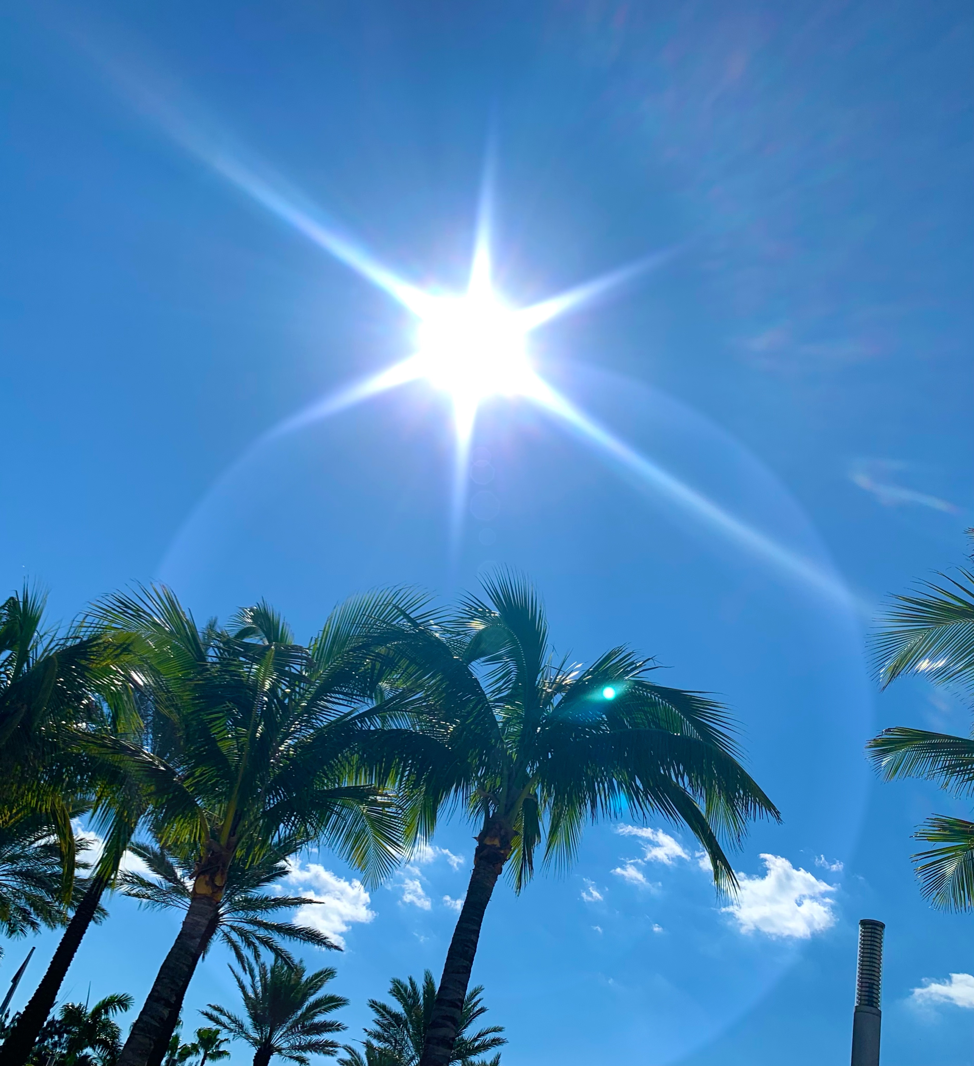 Sunshine Set - Lars Delfstein Disco and Funky House
