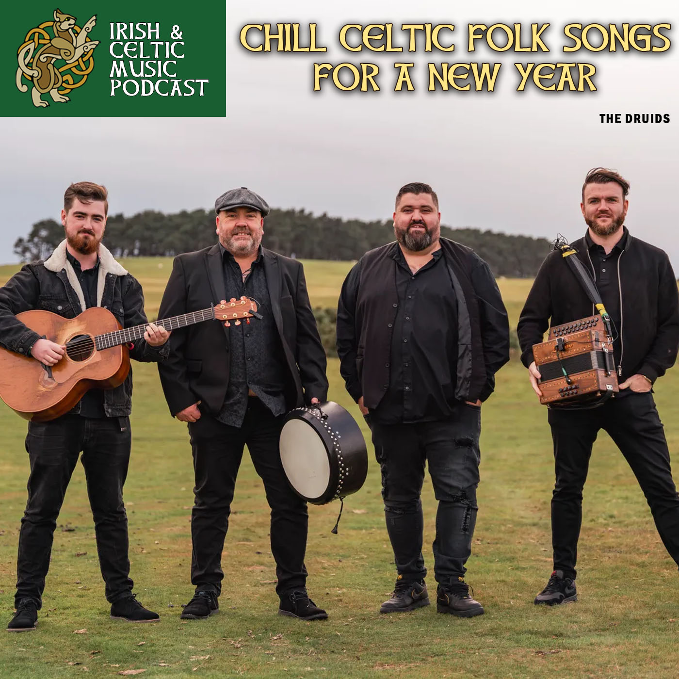 Chill Celtic Folk Songs for a New Year #741