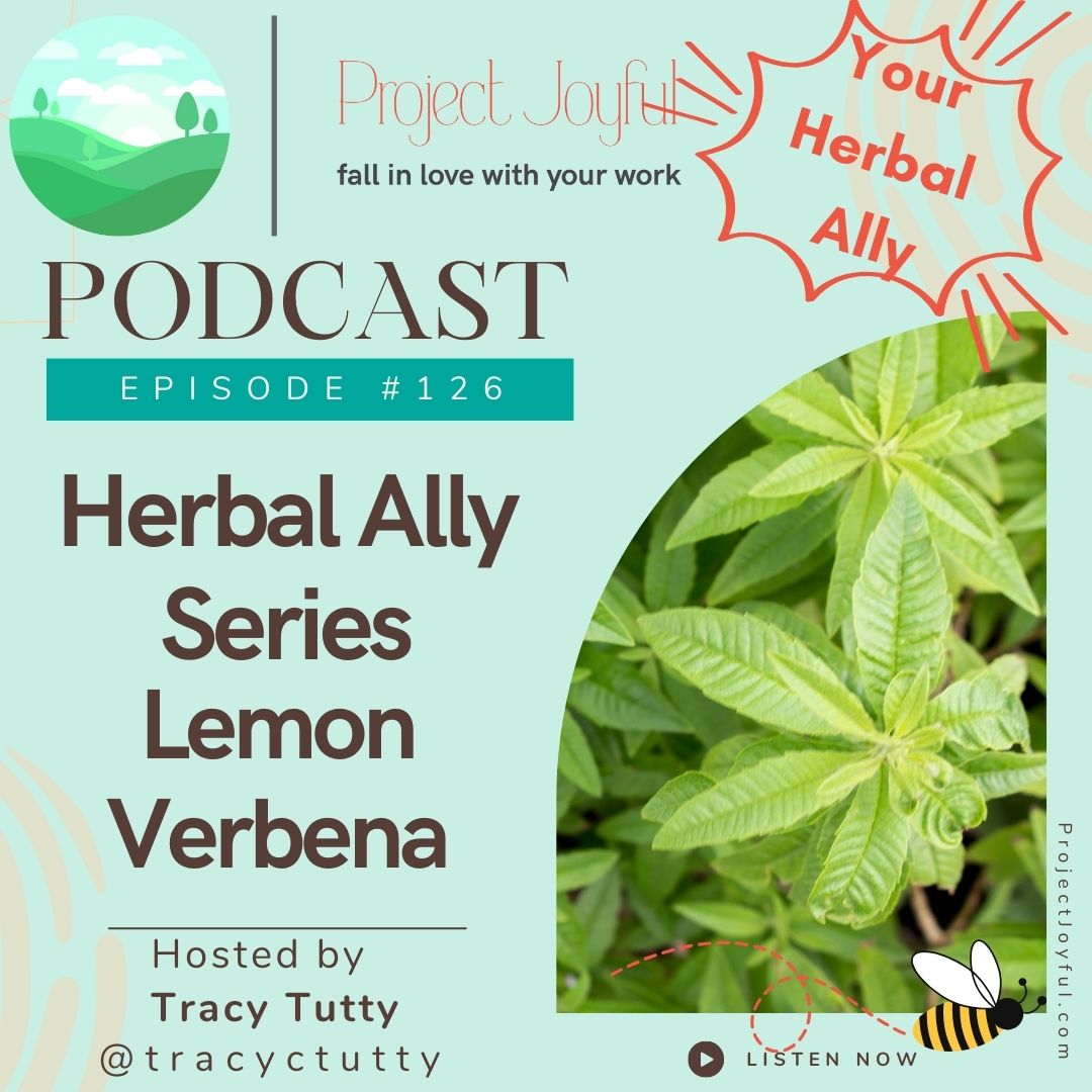 Herbal Ally Series - Lemon Verbena
