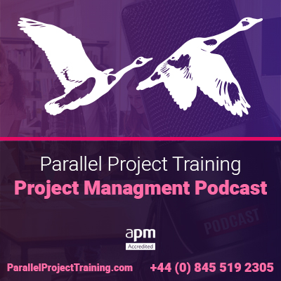 APM PMQ (BoK7) Project Roles
