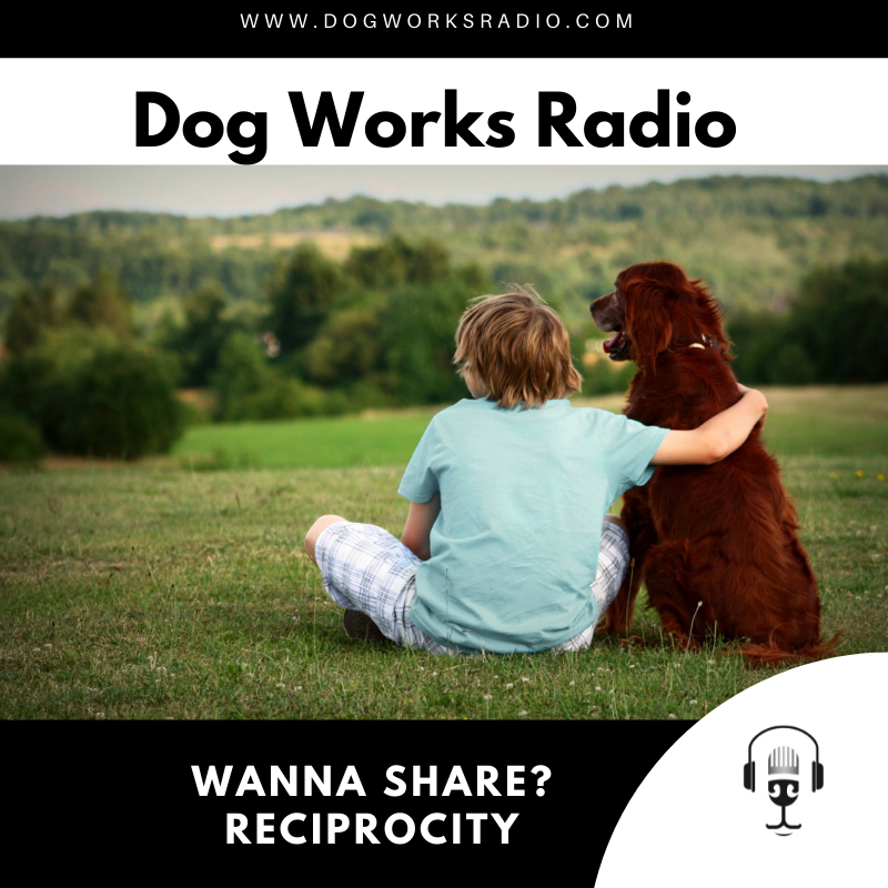 Wanna Share: Dog Reciprocity
