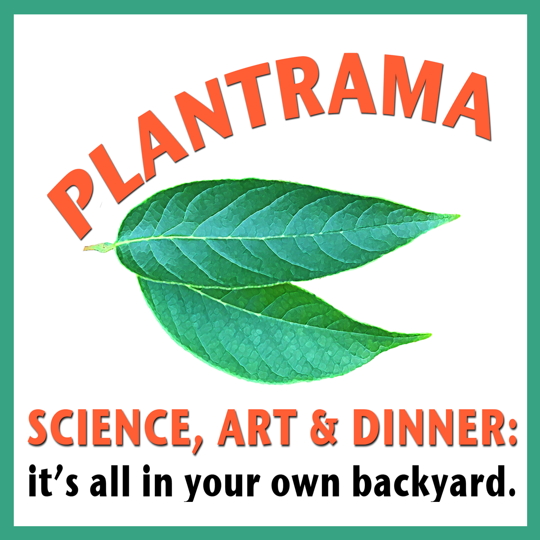 Growing Perennials and Cannabis From Seed and Plant Communications