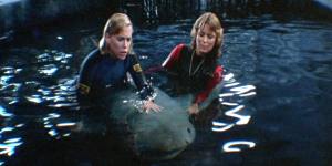 JAWS 3D