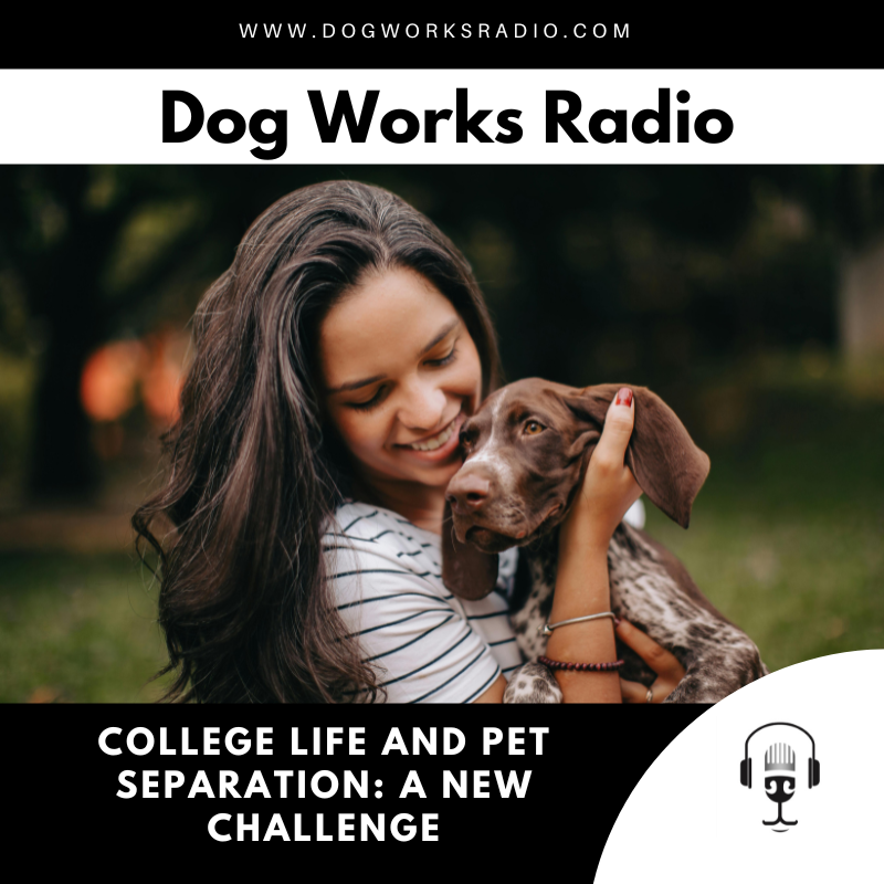 College Life and Pet Separation: A New Challenge