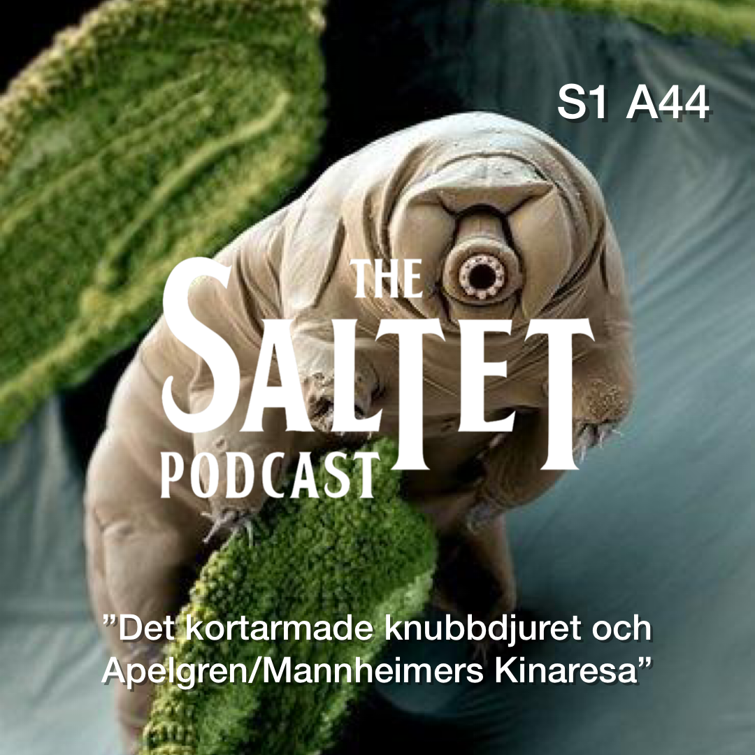 The Saltet podcast
