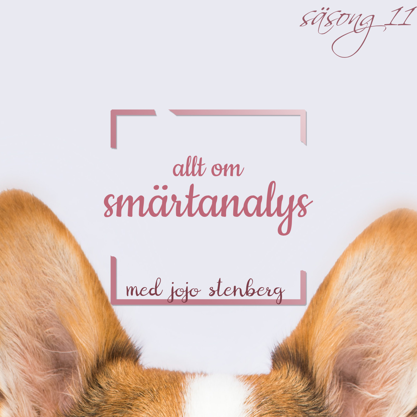 Hundpodden Vår Bästa Vän
