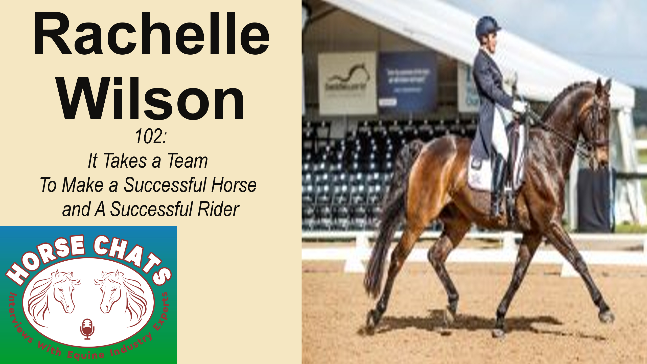 0102: Rachelle Wilson - It Takes a Team To Make a Successful Horse and A Successful Rider