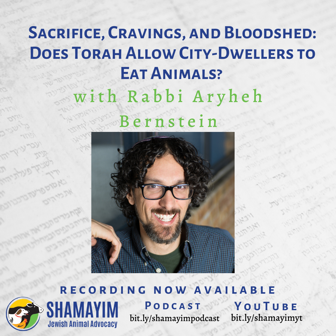 Shamayim: Jewish Animal Advocacy