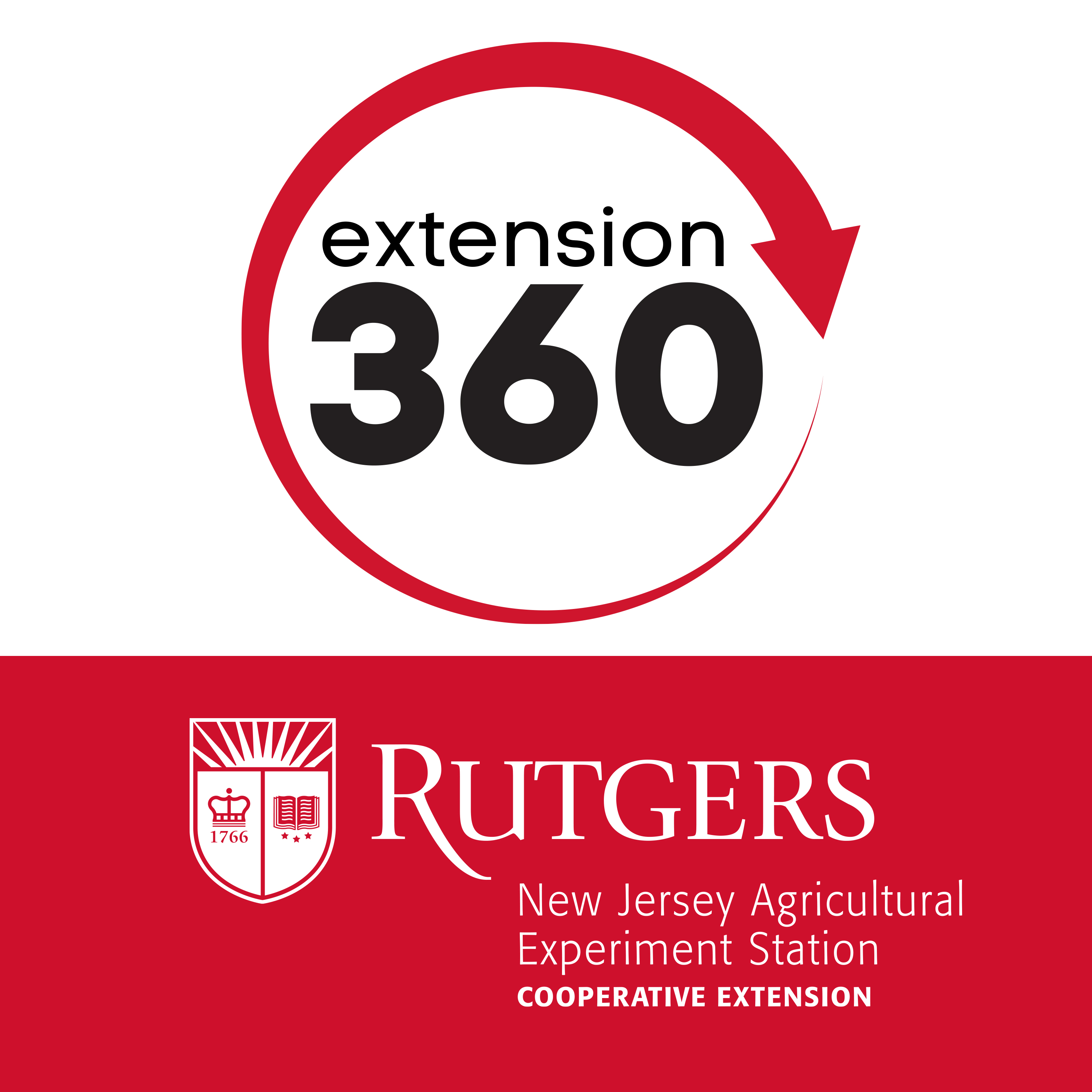 RCE Extension 360