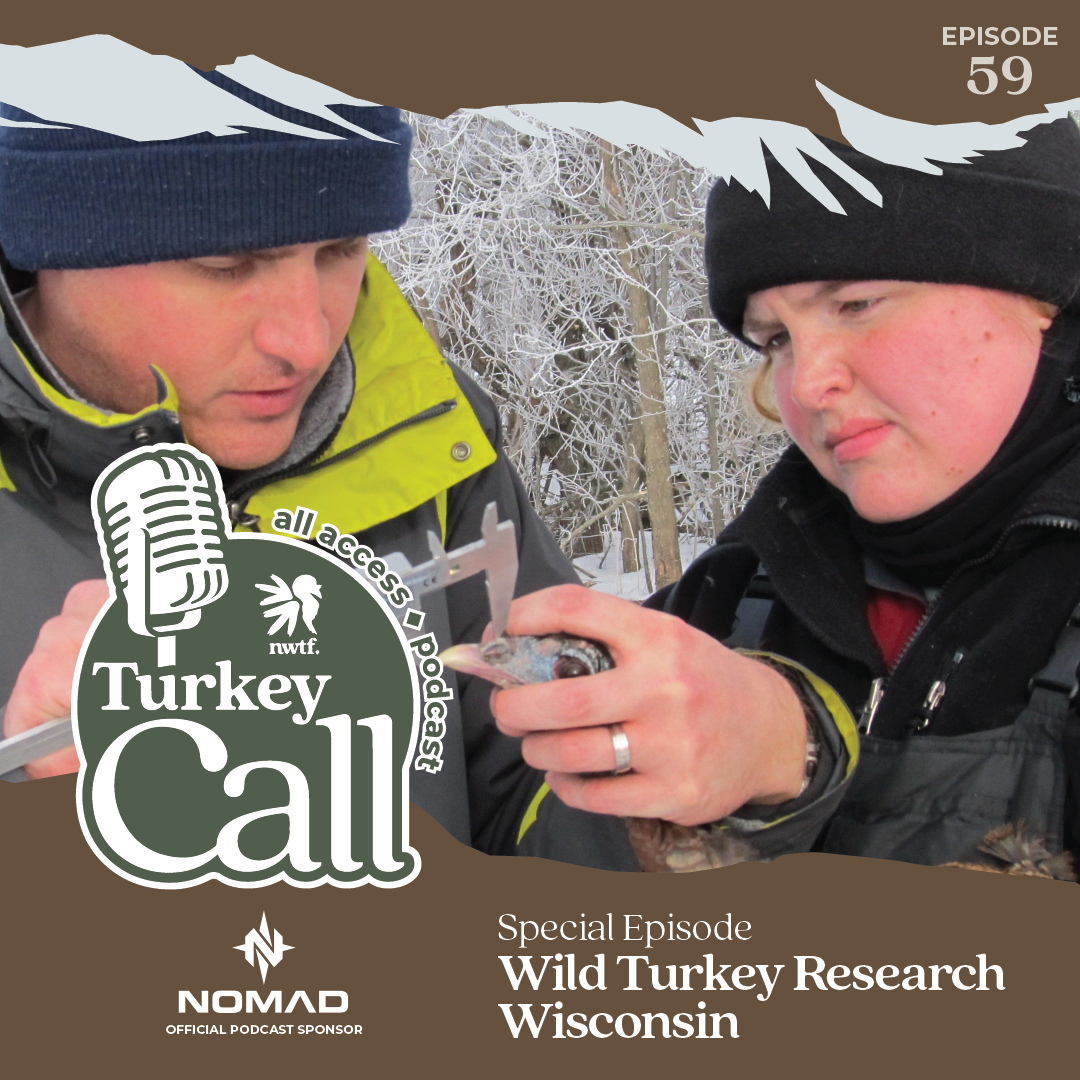 Turkey Call All Access