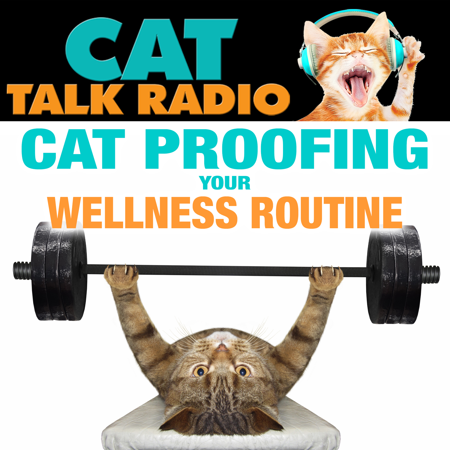 Cat-Proofing Your Wellness Routine: Hidden Dangers in Your Health Habits