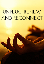 049 A Meditation to Unplug, Renew and Reconnect episode artwork