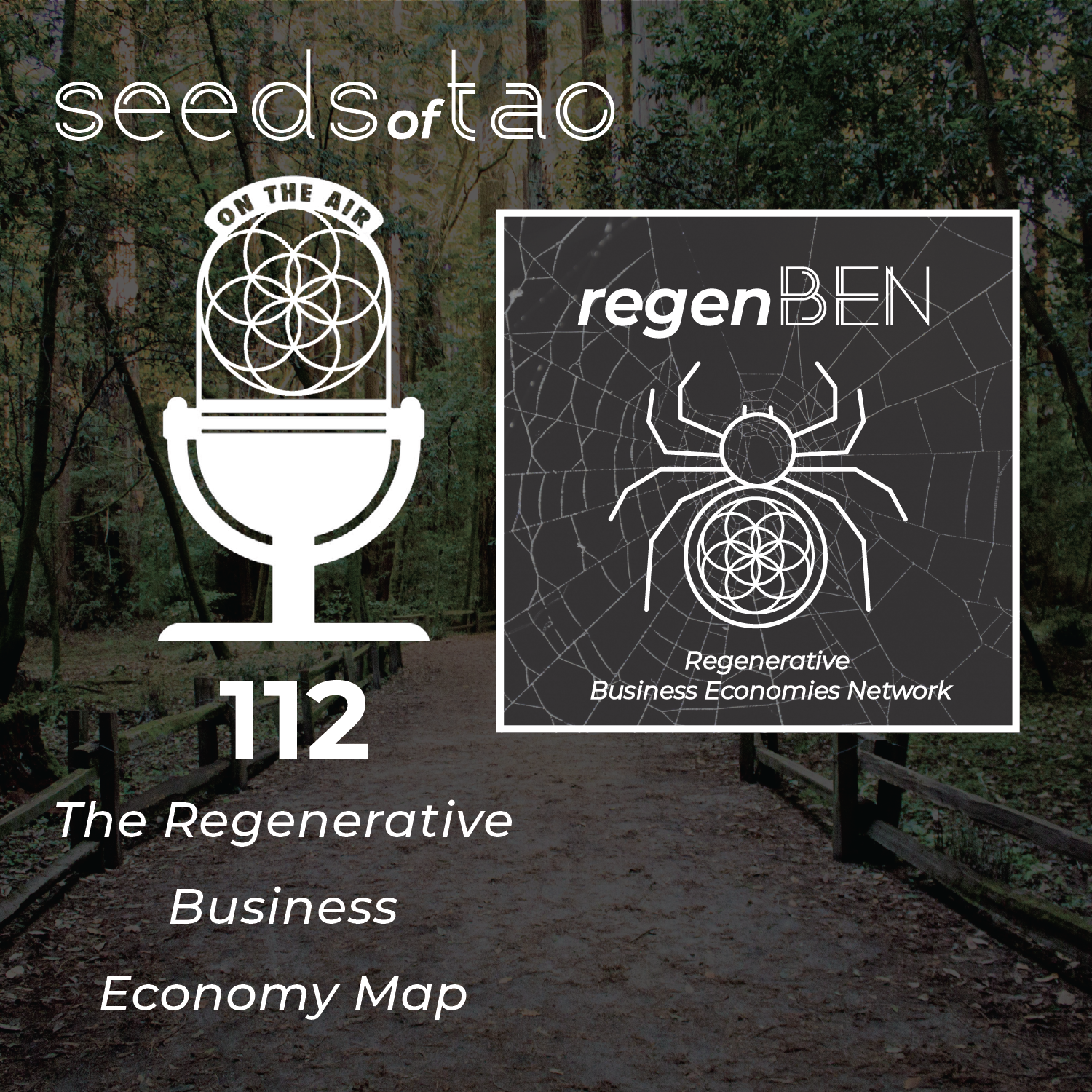 Seeds of Tao: Impact entrepreneurs seeding regenerative paths beyond sustainability