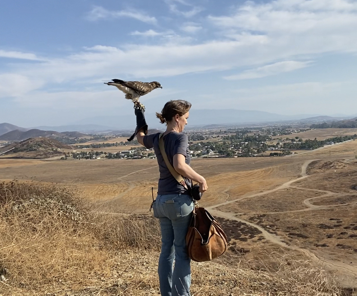 The Avian Behavior Podcast