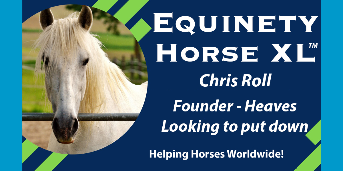 Team Equinety Podcast