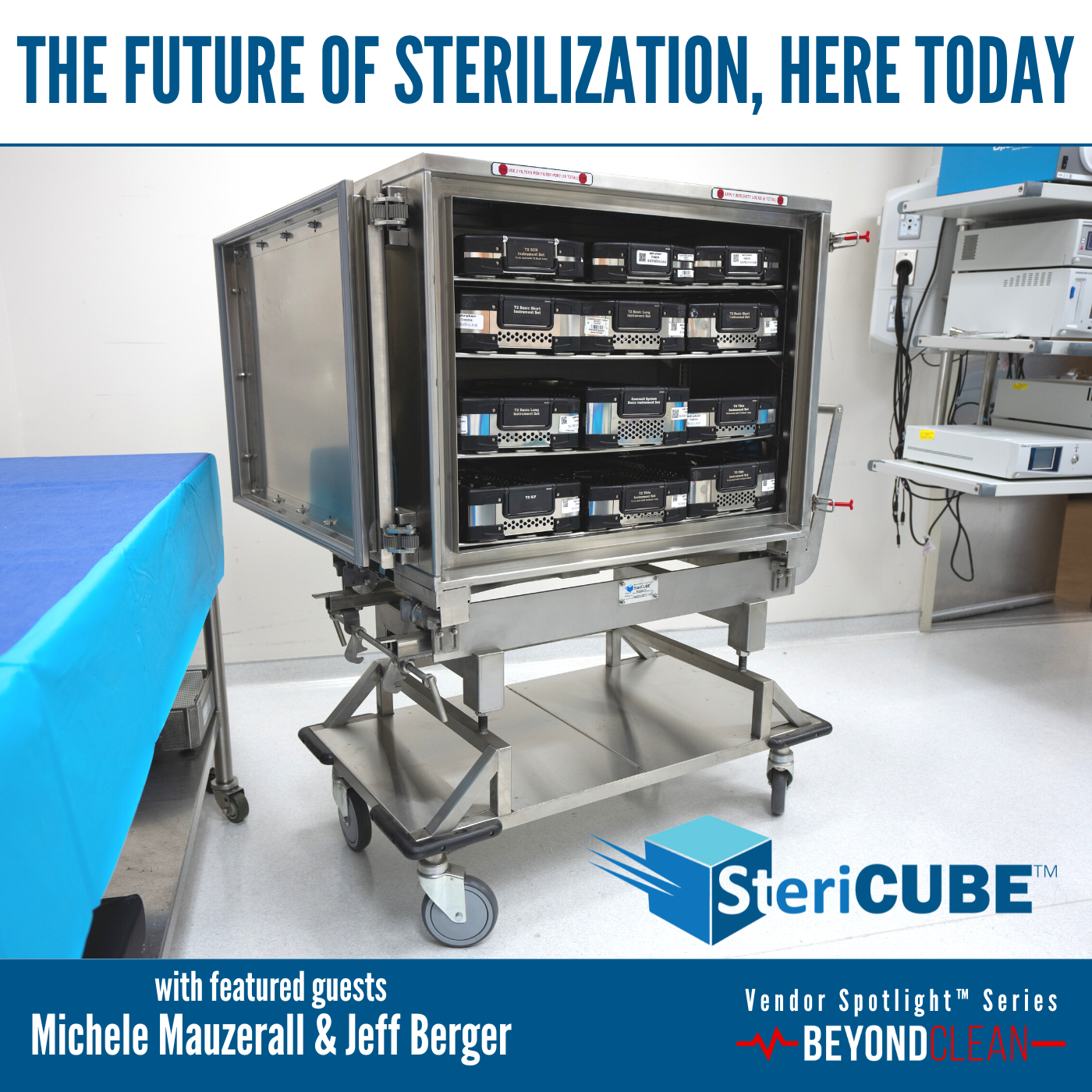 The Future of Sterilization, Here Today