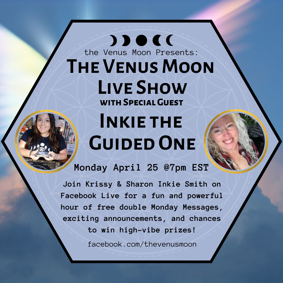 The Venus Moon Live Show