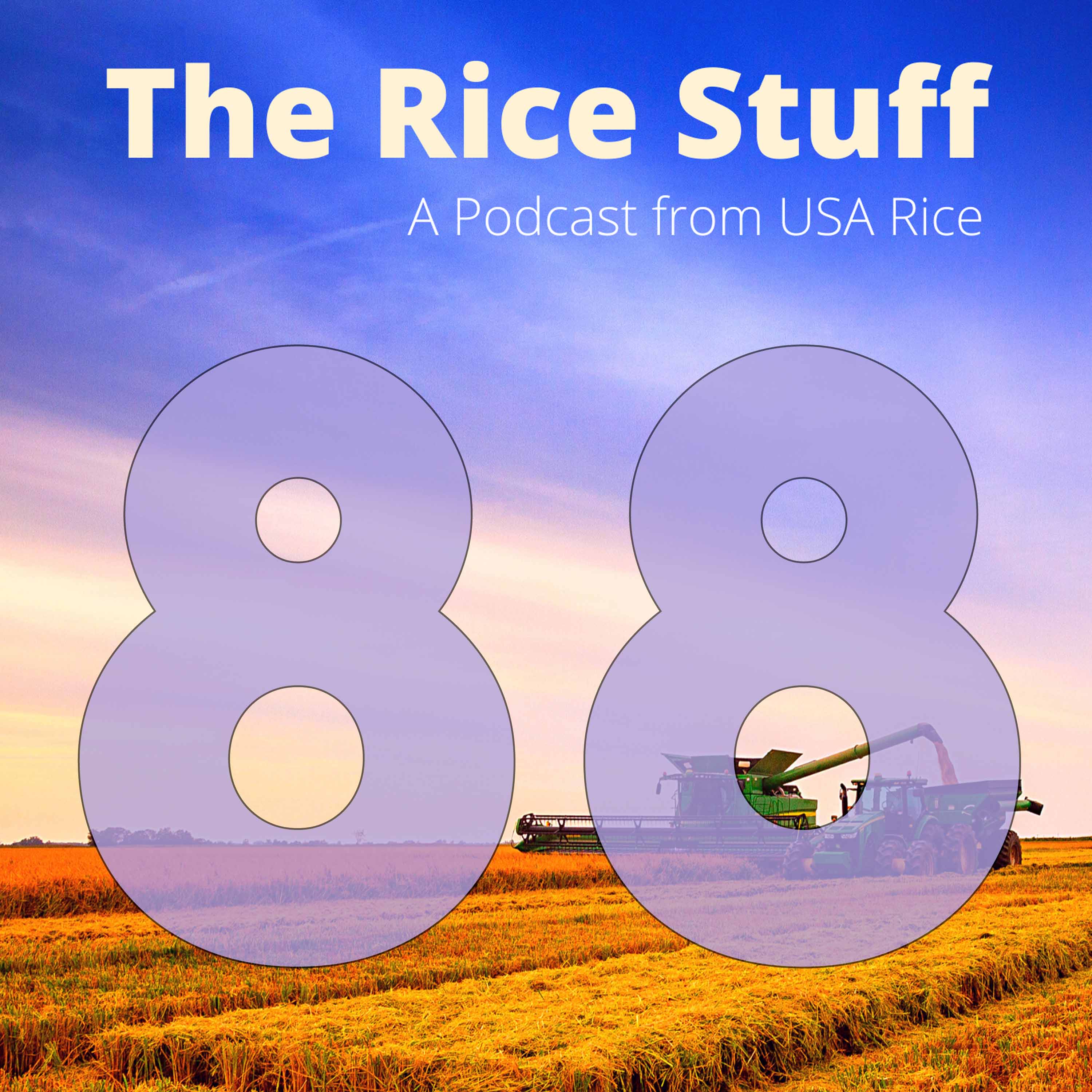 The Rice Stuff