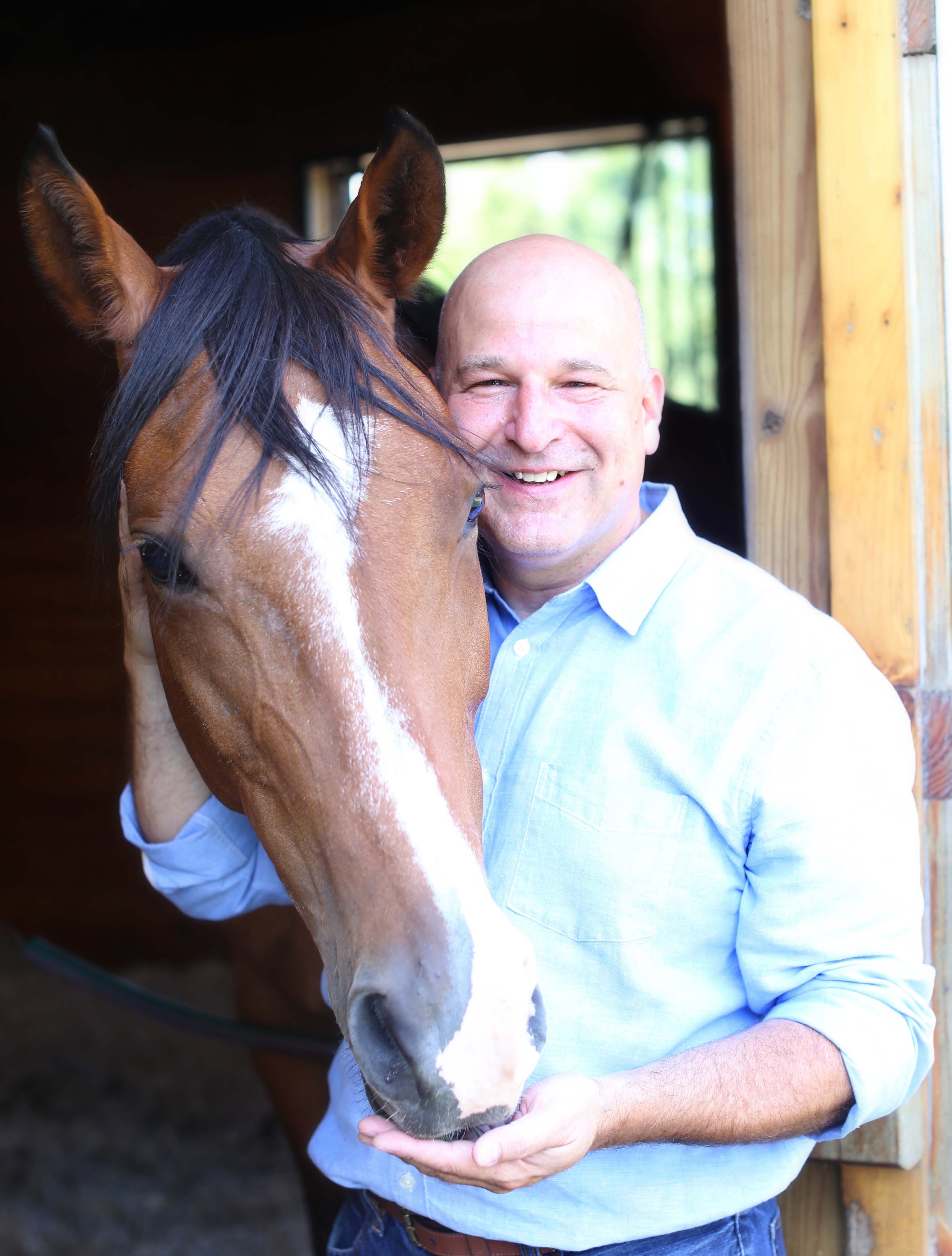 Horses Helping Humans