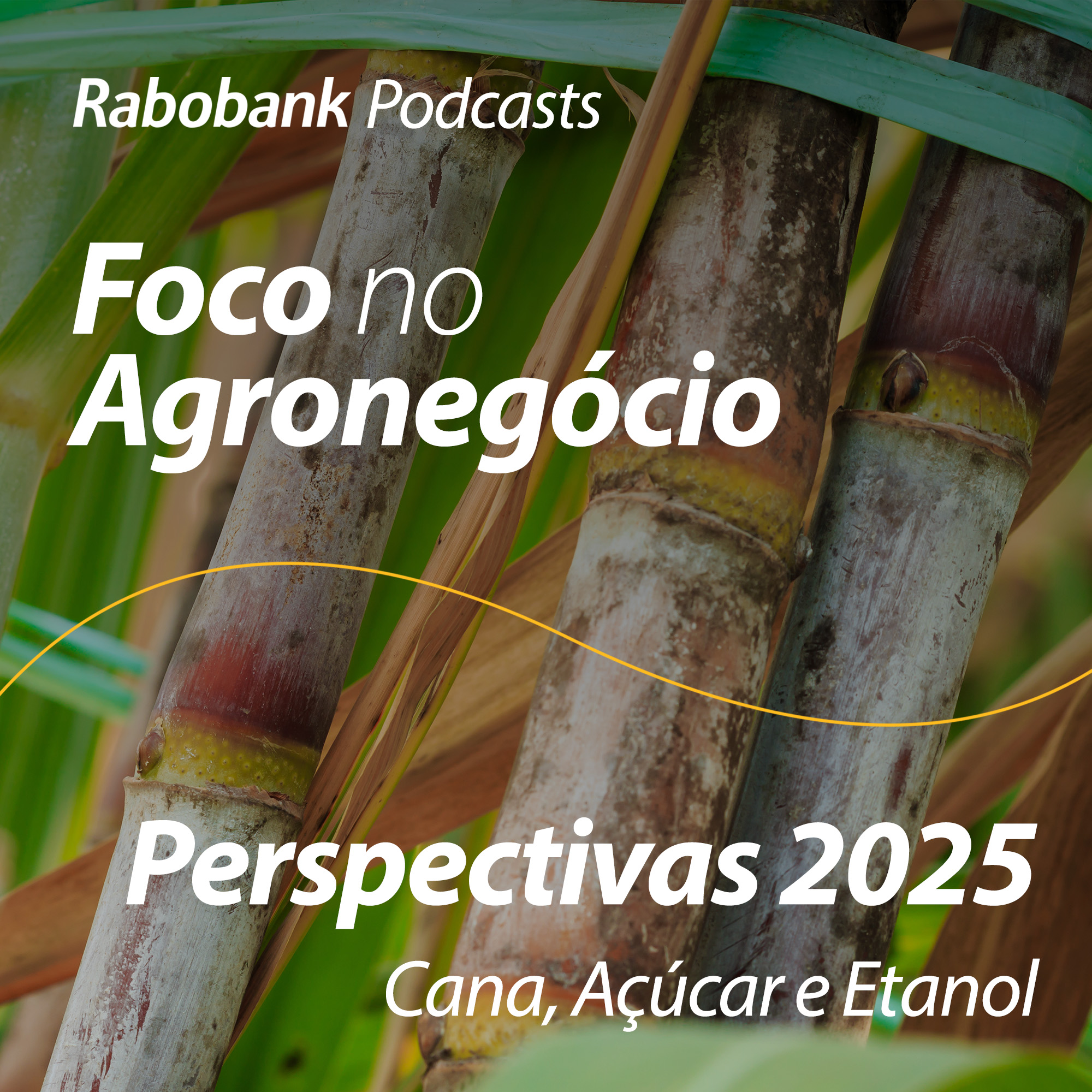 Foco no Agronegócio - Pesquisa Setorial