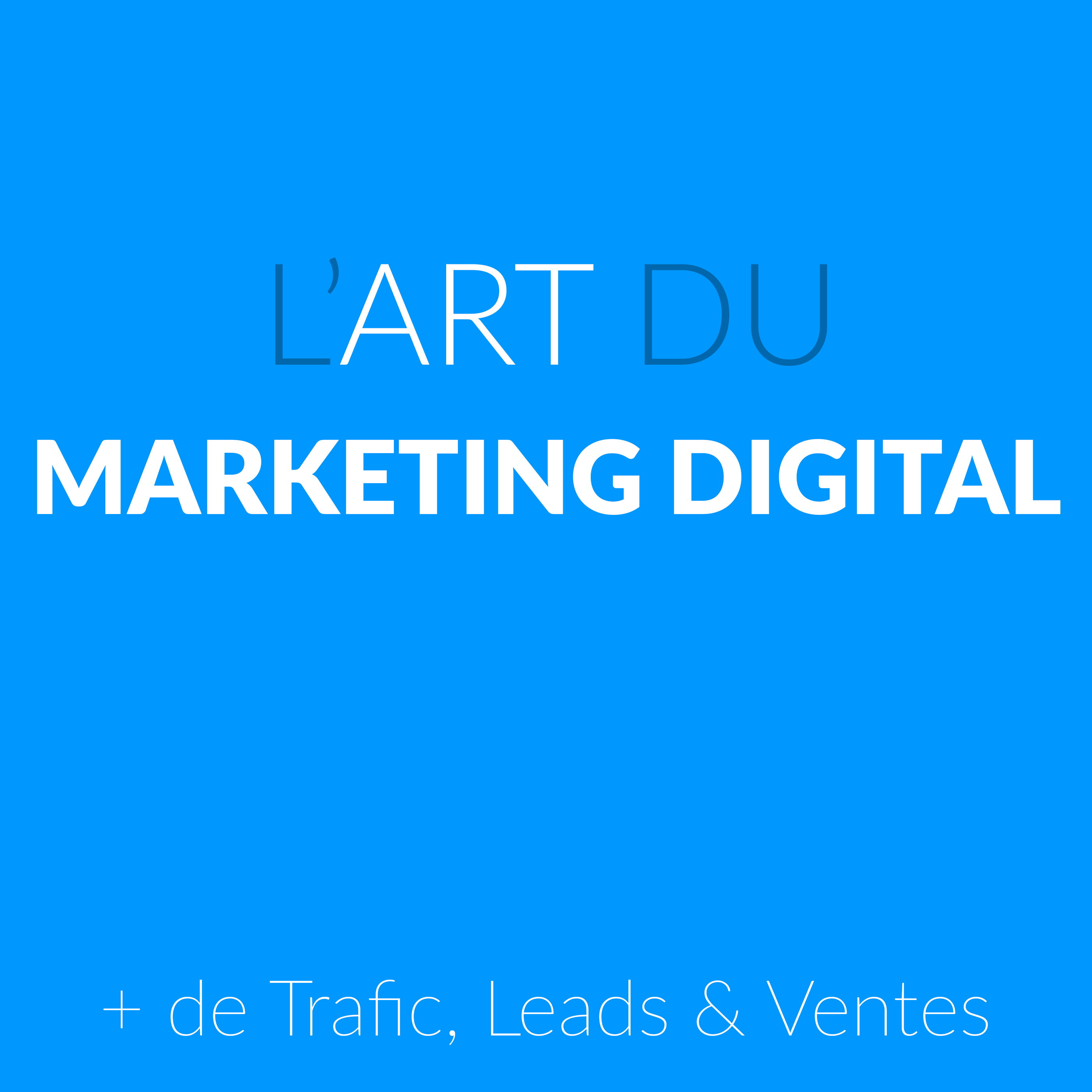 L\'Art Du Marketing Digital by Wolfeo