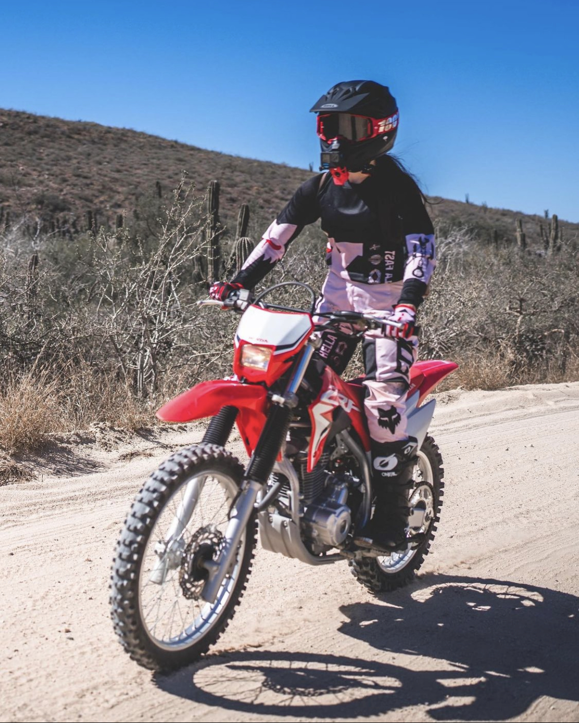 Annie DiNovo and This Wild Ride