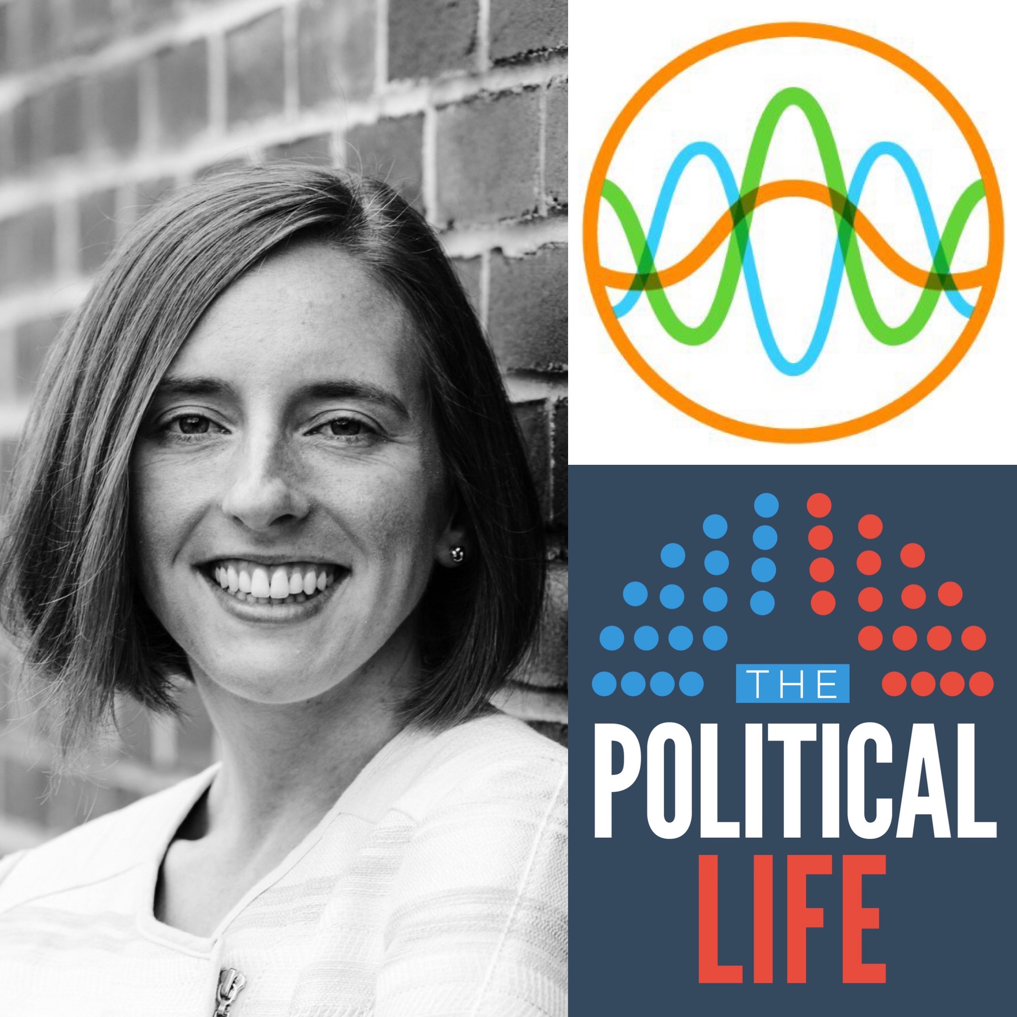 The Political Life