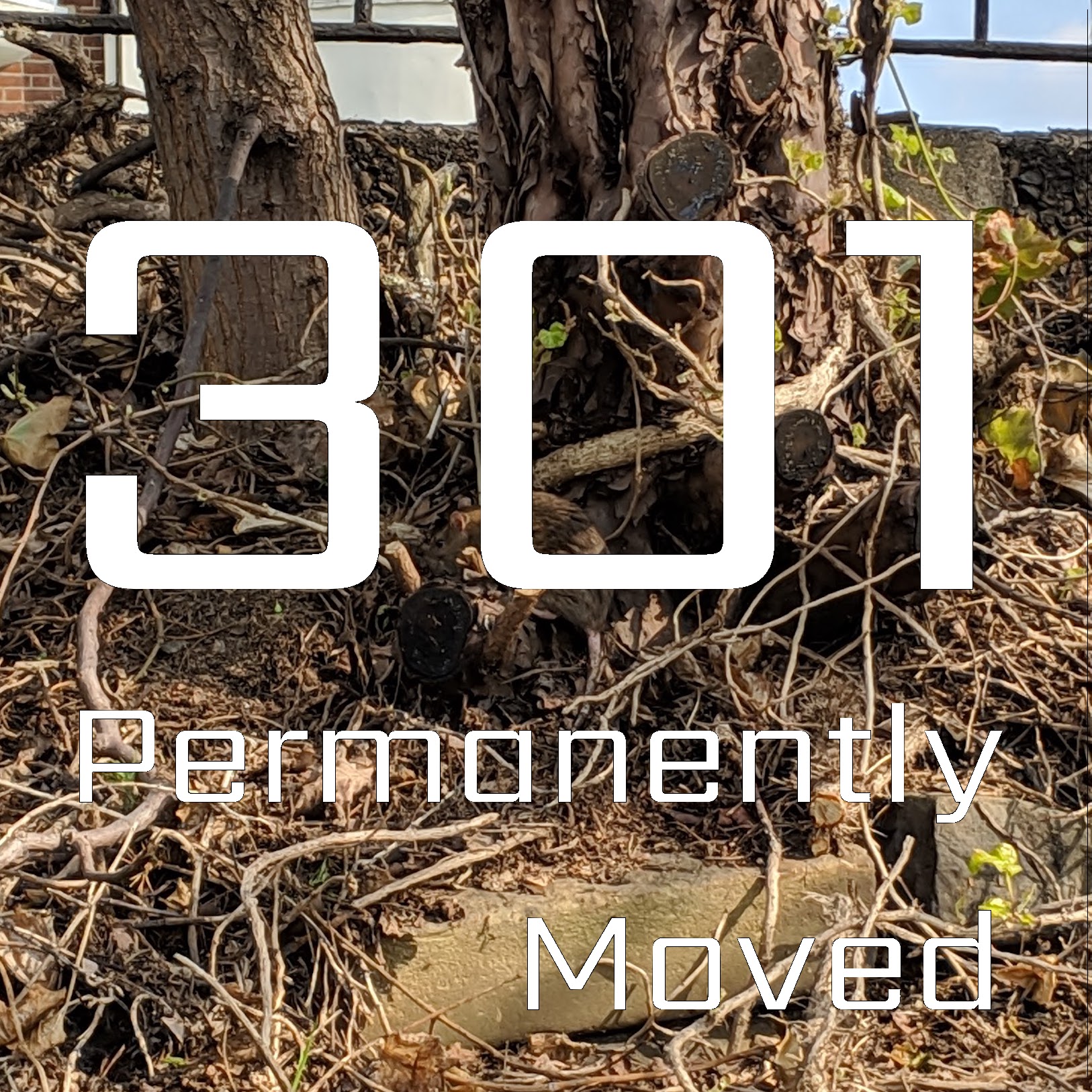 Permanently Moved