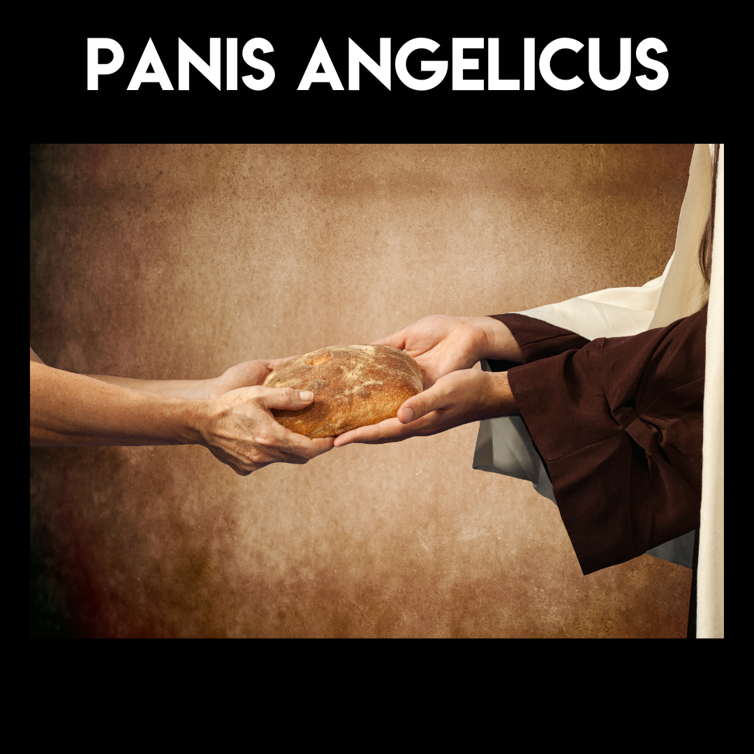 Special Music -  Panis Angelicus