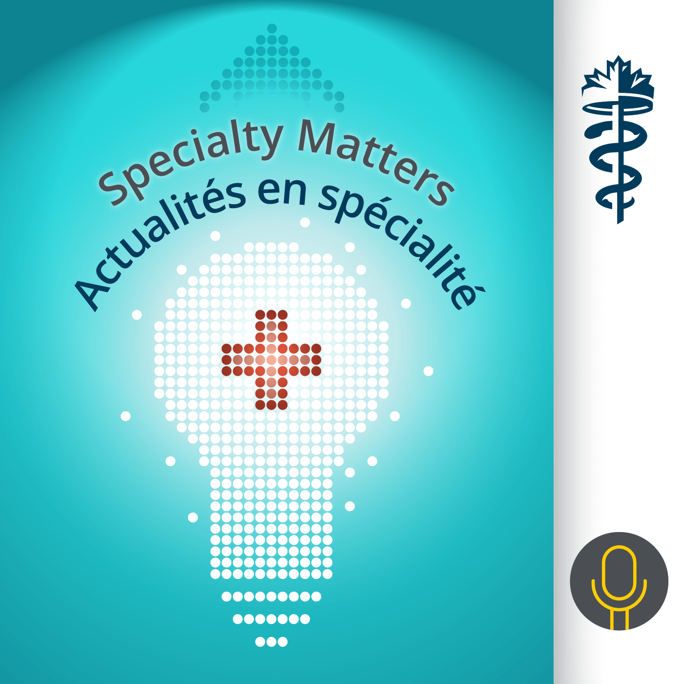 Anti-Oppression in Medicine / La lutte contre l’oppression en médecine