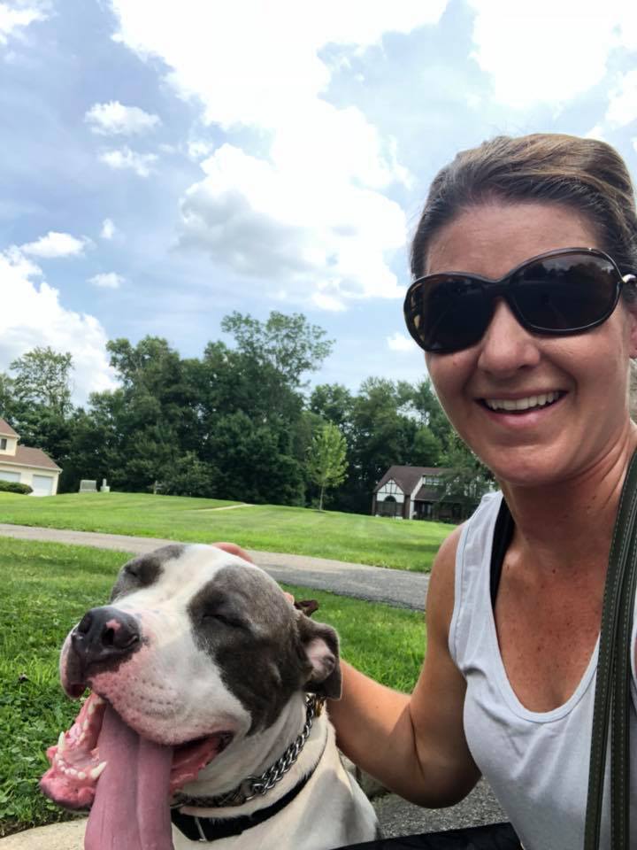 Vermont Dog Trainer Show