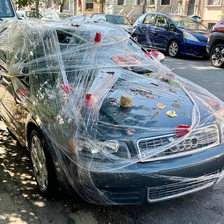 08.14.24: Detail (for Sale) & Car Care Tricks, Incl. Dashboard Chemicals & Seat Cleaning (w/ Craig the Detailer), Also, Knock-Off Chinese Taillights, Dreaded P0420 VS Out-of-State Catalytics, Puffy Jackets & GTI Guys (WTF, You), + A NYC Parking Fail