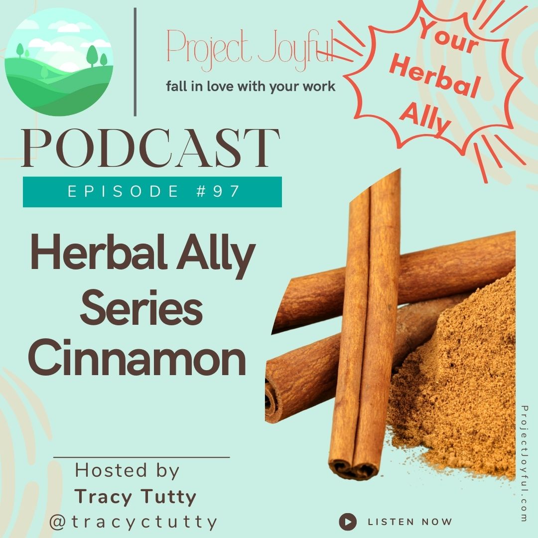 Herbal Ally Series - Cinnamon