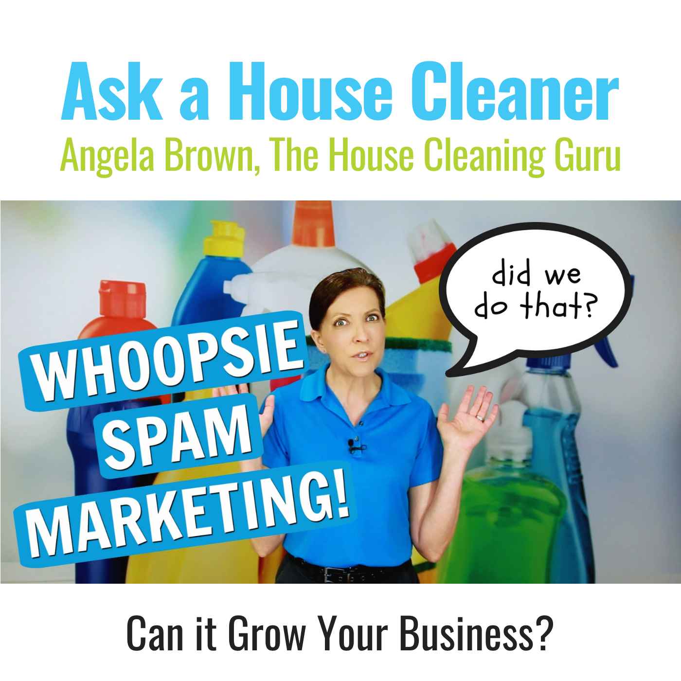 Ask a House Cleaner