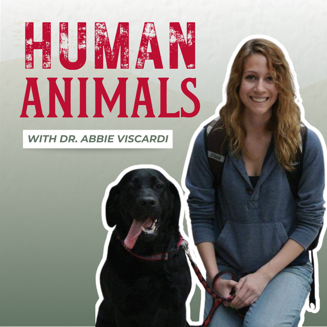 Human Animals