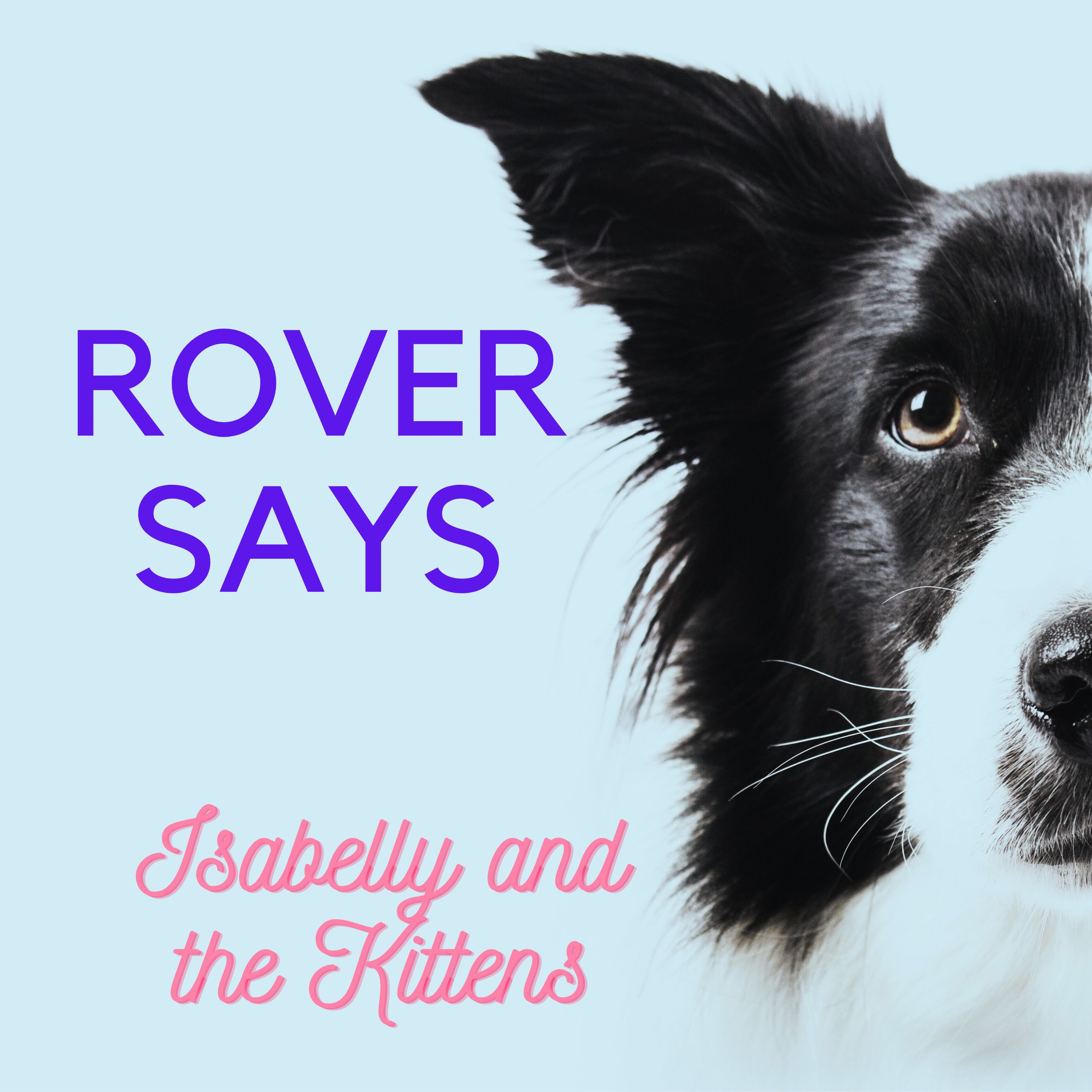 Rover Says