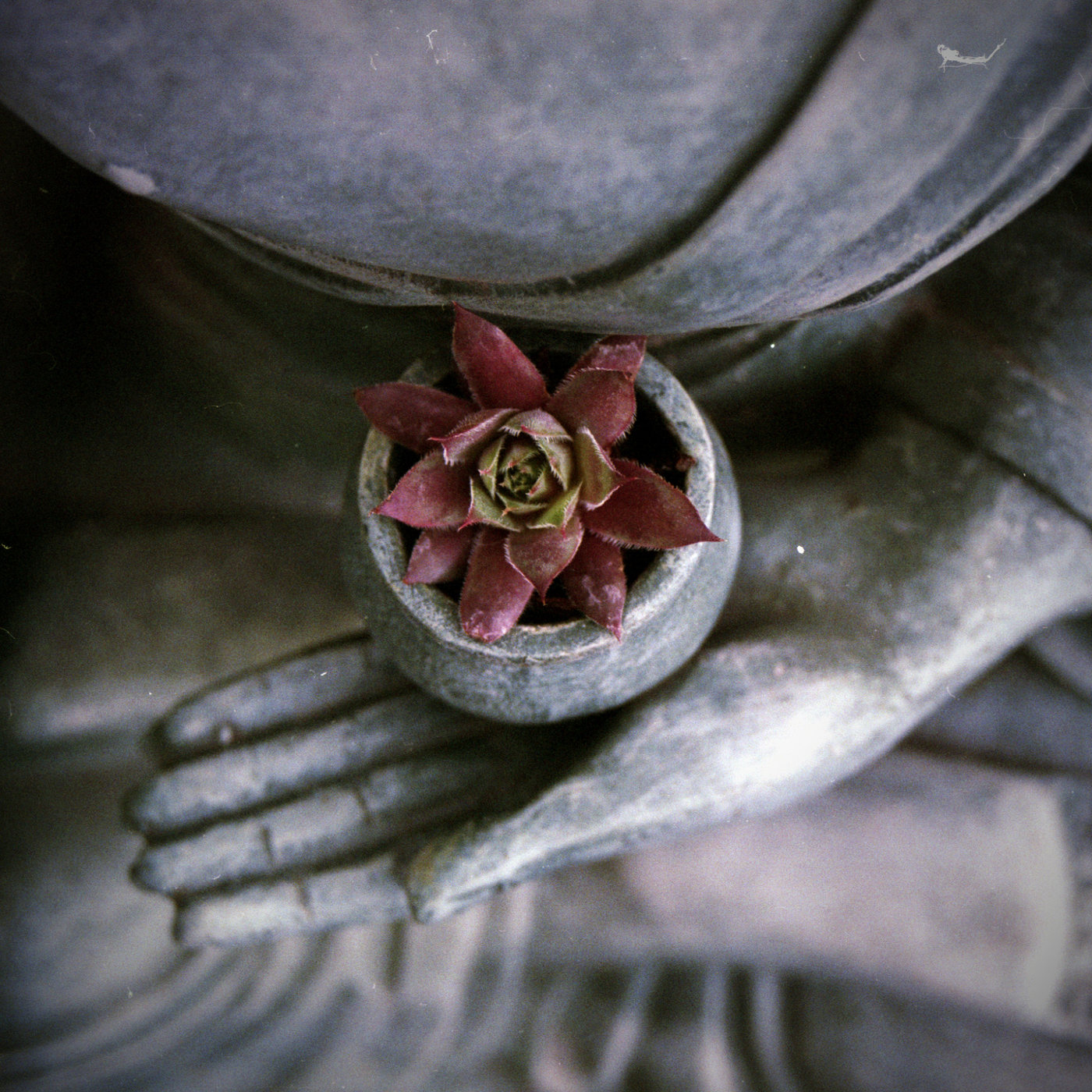 The Zen Studies Podcast