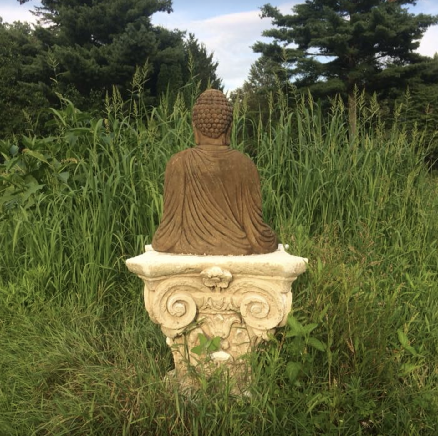 The Man in The Weeds