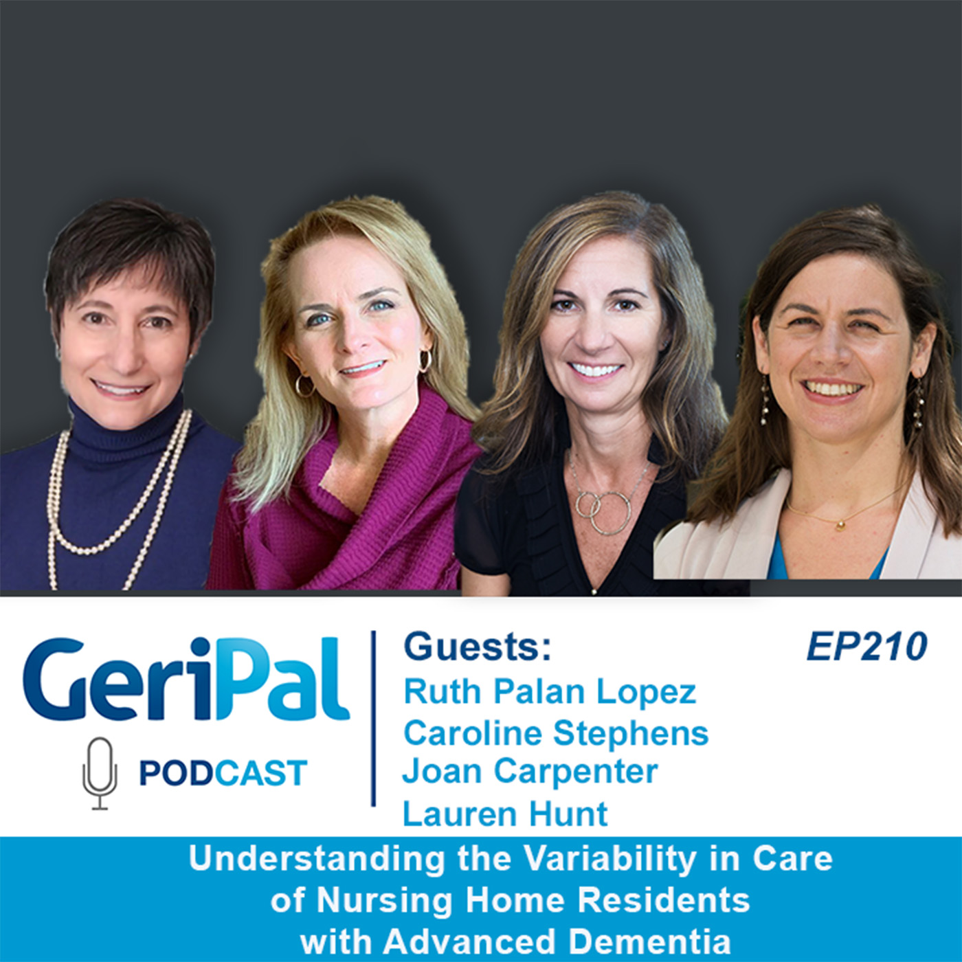 Understanding the Variability in Care of Nursing Home Residents with Advanced Dementia