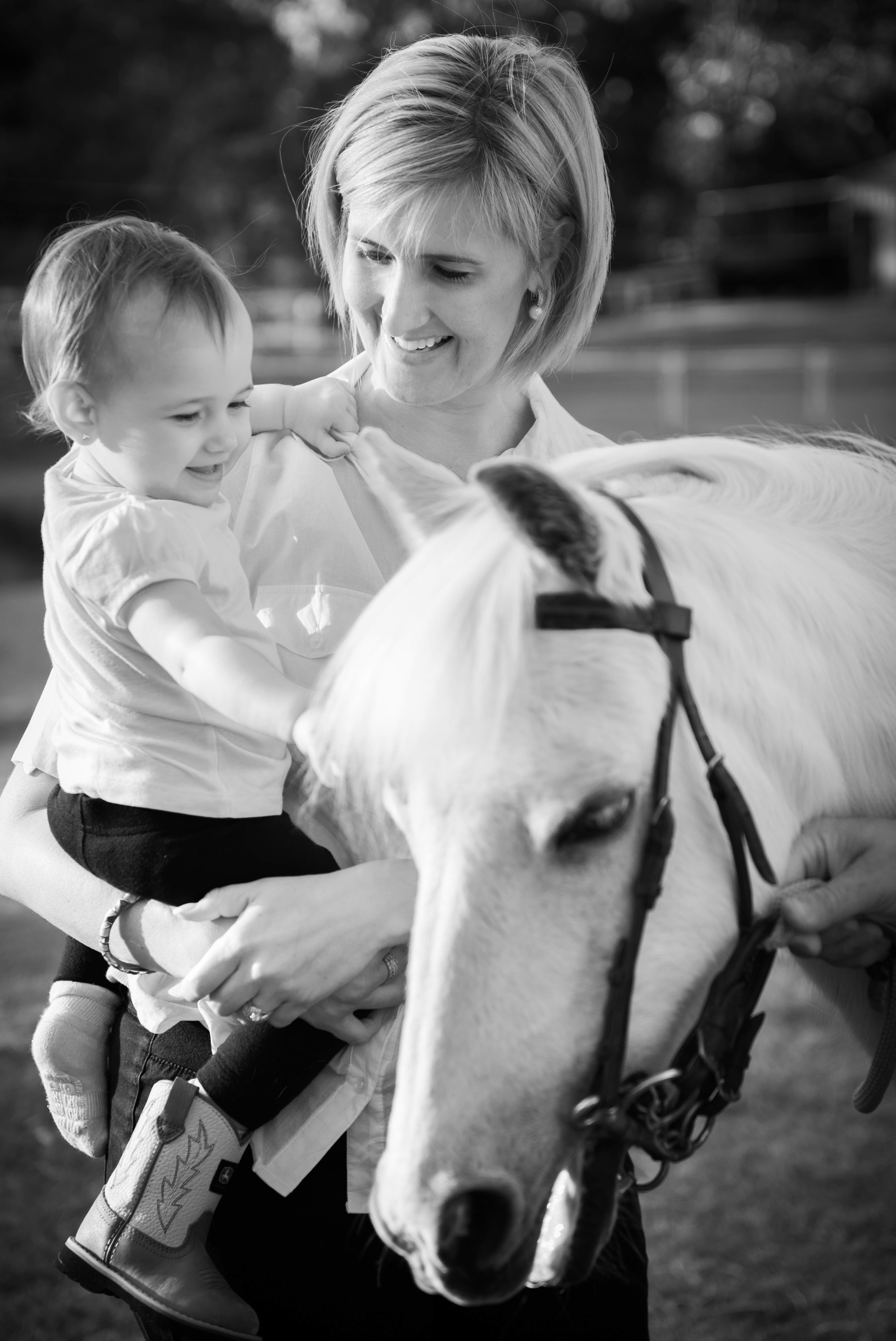 0203: Shonelle Balsillie - Improving Social/Emotional Well Being In Children Workshops Incorporated With Horses