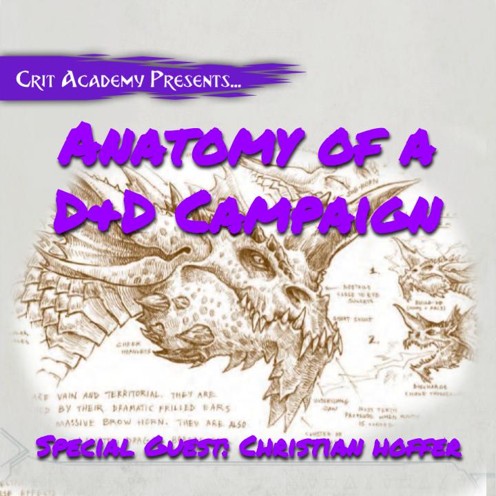 Anatomy of a D&D Campaign