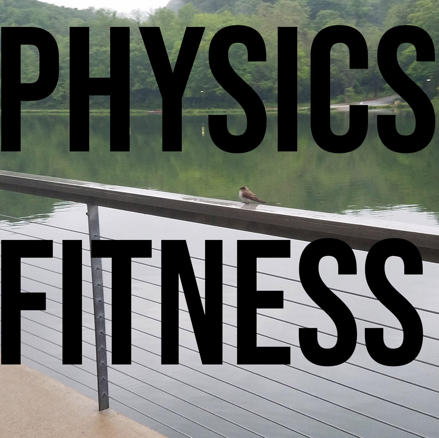 RAF206: The Physics of Fitness - Inertia, Momentum, and Movement