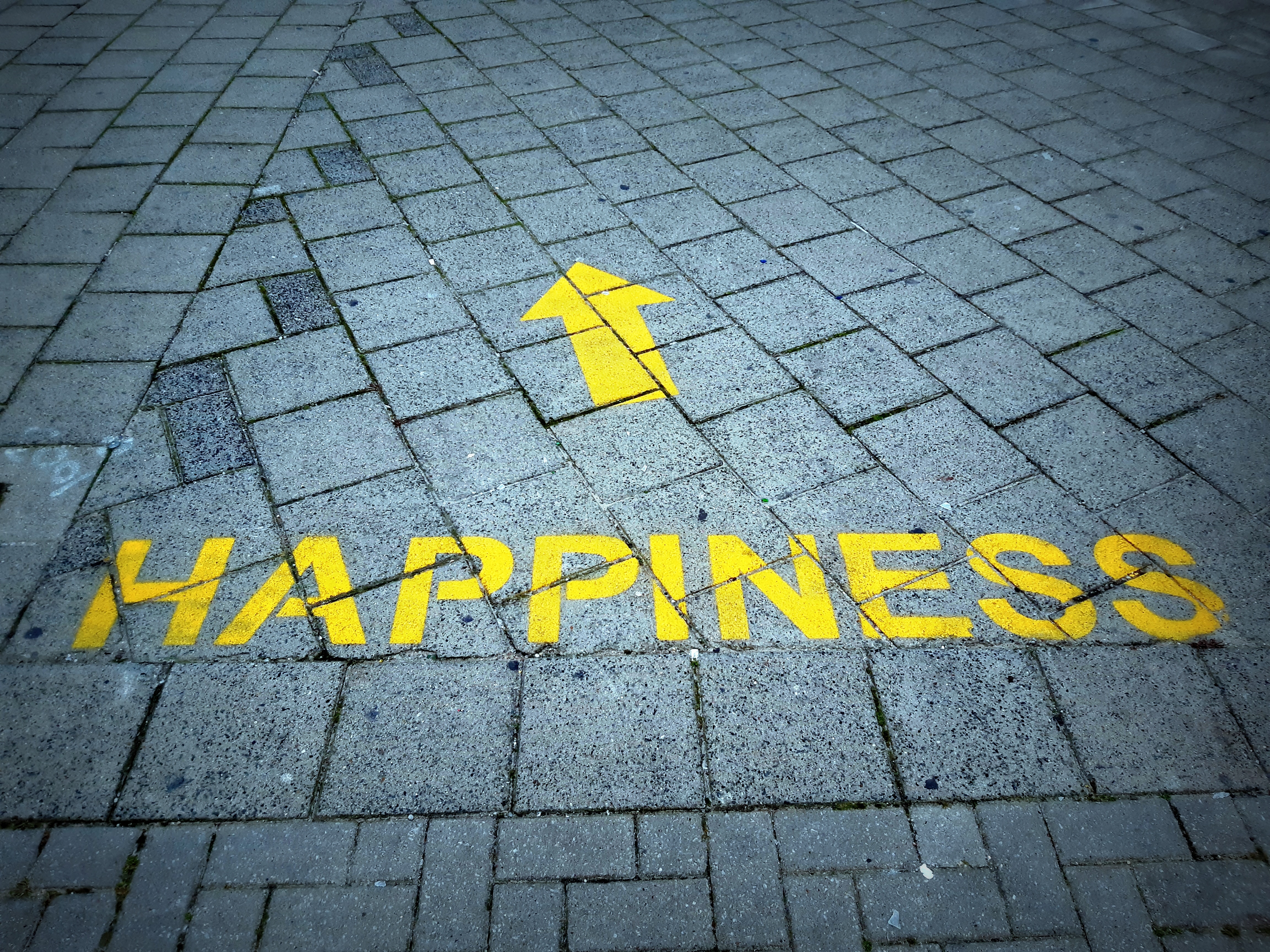 American Happiness:  The Book