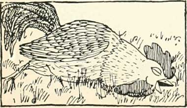 The Cock and The Bean - A Russian Folktale
