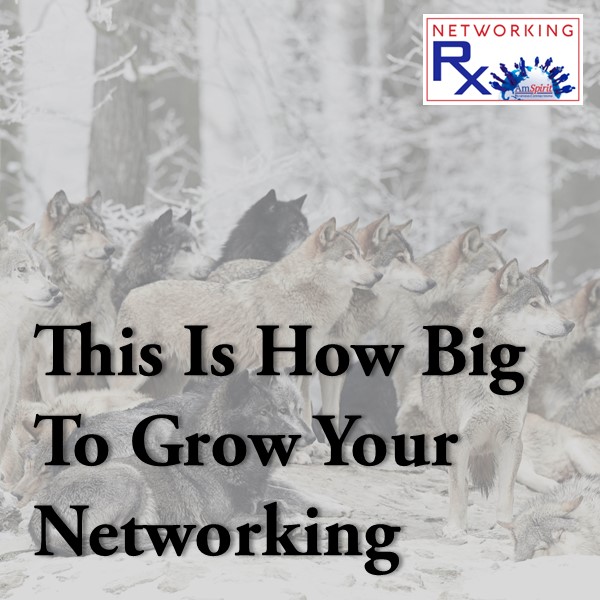 This Is How Big To Grow Your Networking Pack (EPS 859)