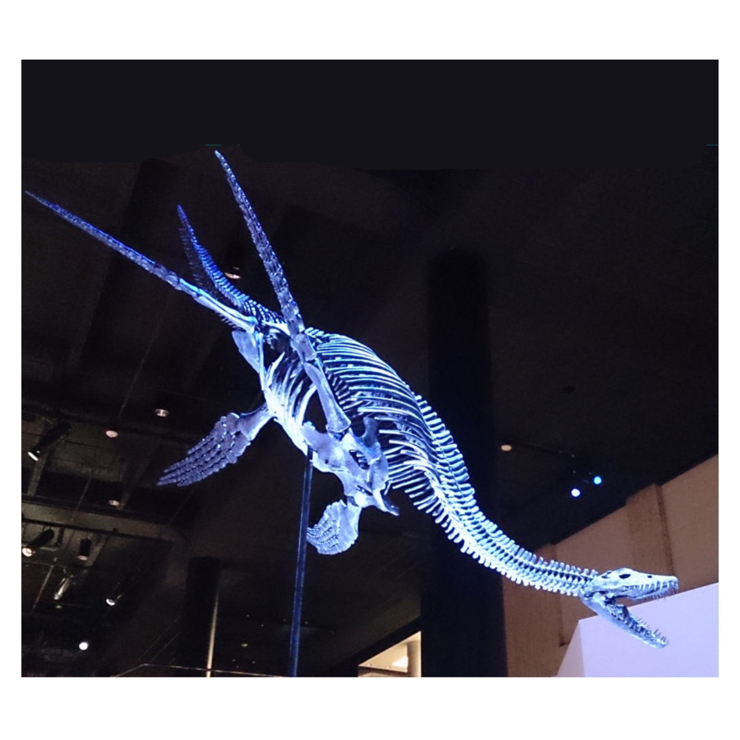 Ghosts and Fossils