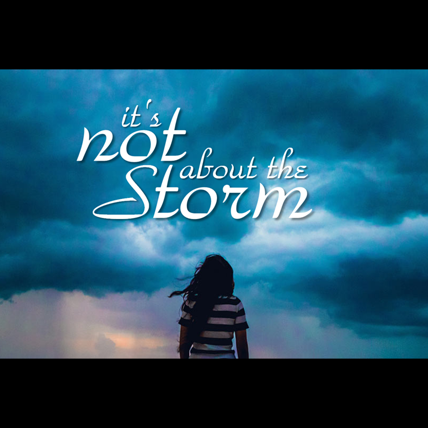 Its Not About the Storm: It's about your mission